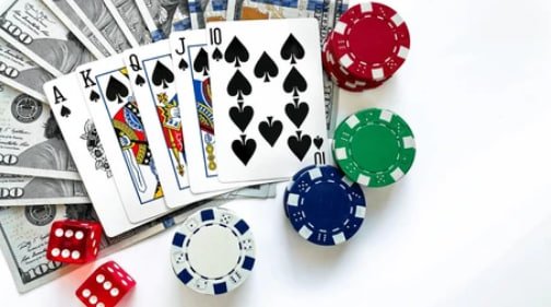 cakhia 6